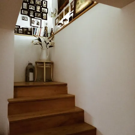 Villa Nono Vrh (Krk)